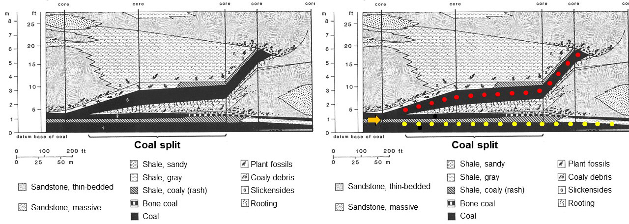 Cross section of split in the Hazard No. 8 coal bed from an underground mine in eastern Kentucky.